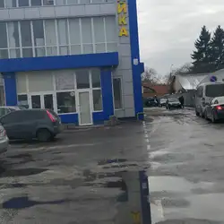 Слон - Незалежності