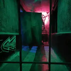 Green Doors