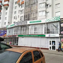 Стемма