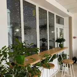 Кав'ярня "Green Cup" — Черкаси