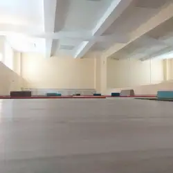 Wellness