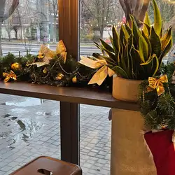 Львівські круасани — Одеса
