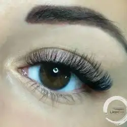 Lash Bar — Київ
