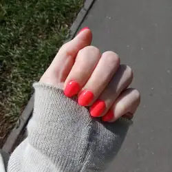 The Nail Room — Киев