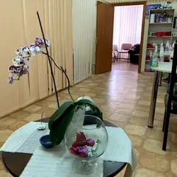 А-студіо