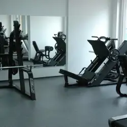 Bulldog Gym