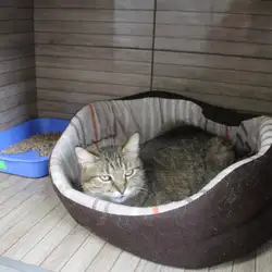 Vet-House