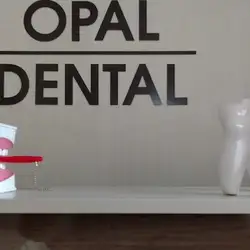 Opal Dental