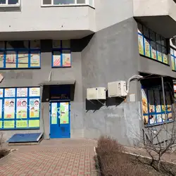 Бонобо - Київ, Бориса Гмирі