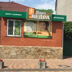 Dari kedra