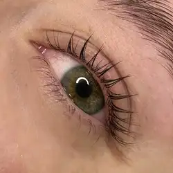 db.brows