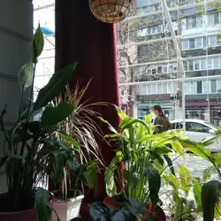 ЗАВИТОК