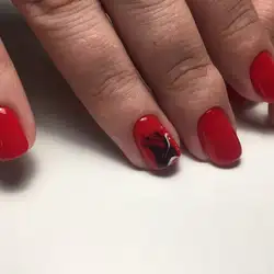 StrekoZa Beauty Bar