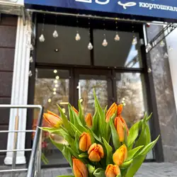 ÉDES — Кам'янець-Подільський