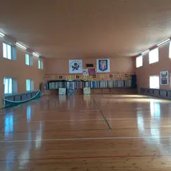 Фенікс
