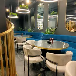 DZEN Fusion rest
