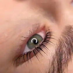 Lash&Brows, студія корекції брів