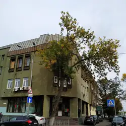 Podobed Studio