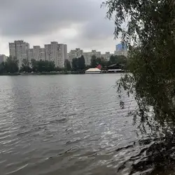 Рибне місце — Київ