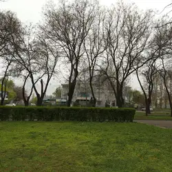 Школа раннього розвитку ДіТвоРа