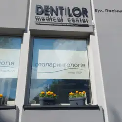 DENTILOR