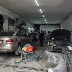 Expert1