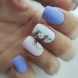 Nail studio "OZ"