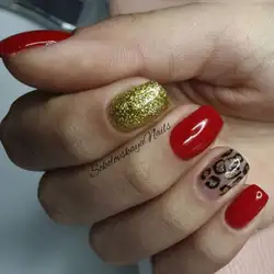 Анна Соколовська