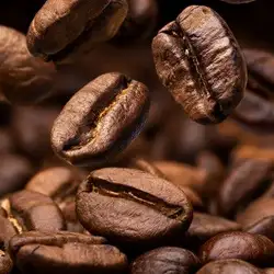 Кав'ярня Feel Coffee — Київ