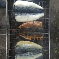 Жасмін