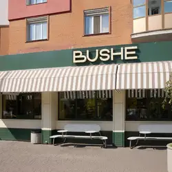 Bushe