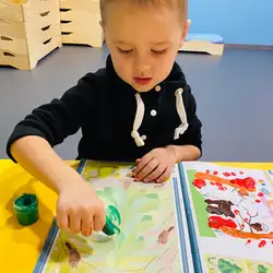 Дивокрил