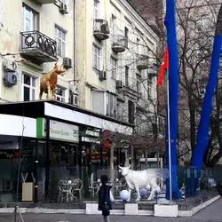 Офіс Кафе 5.10 — Київ