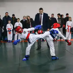 Всеукраїнська федерація армійського рукопашного бою