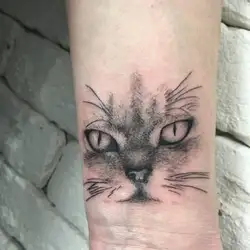 Дарія Кот — Кременчуг