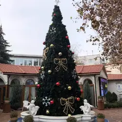 Три сосни — Одесса