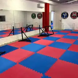 SHOGUN FIGHT CLUB - Олександра Мишуги