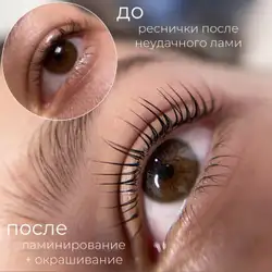 Софія Середа