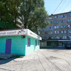 Золотий мангуст