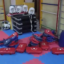 TAEKWONDO WTF -SC FENIX