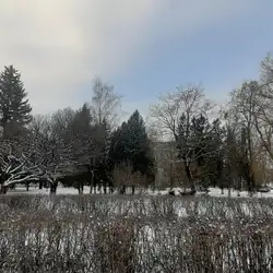 Діброва — Тернополь