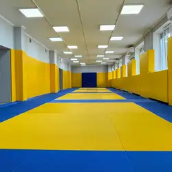 КДЮСШ Тріумф