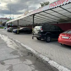 Фенікс