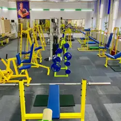 Fitnes plus