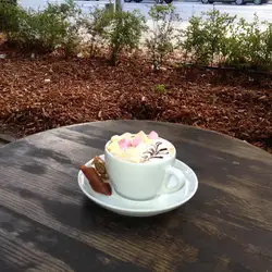 CoffeeSense — Киев