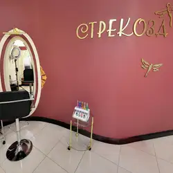 Стрекоза