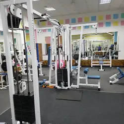 Body Life