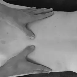 Дмитро Коновалов