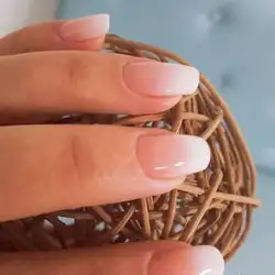 Macaron — Ирпень