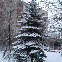 Рівненський ДНЗ № 057